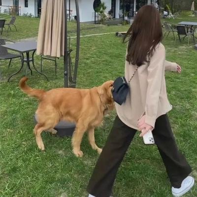 豺狼时刻